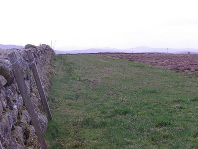 Foto A3 A Trockenmauer und ungepflügter Feldkopf Neuk, Die\/NO7397 um 2014