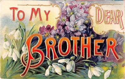 To My Dear Brother Postcard With Gorgeous Violets & Snowdrops