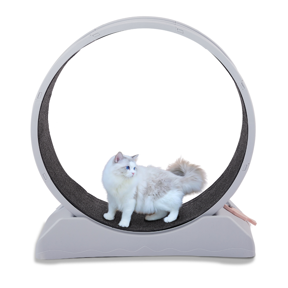 Large 34.7 Inch Cat Exercise Wheel Treadmill for Indoor Cats  