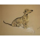 Lucy Dawson Dog Print Smooth Haired Dachshund Keeshond 90543 Snoodle Johnnie