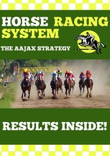 HORSE RACING SYSTEM