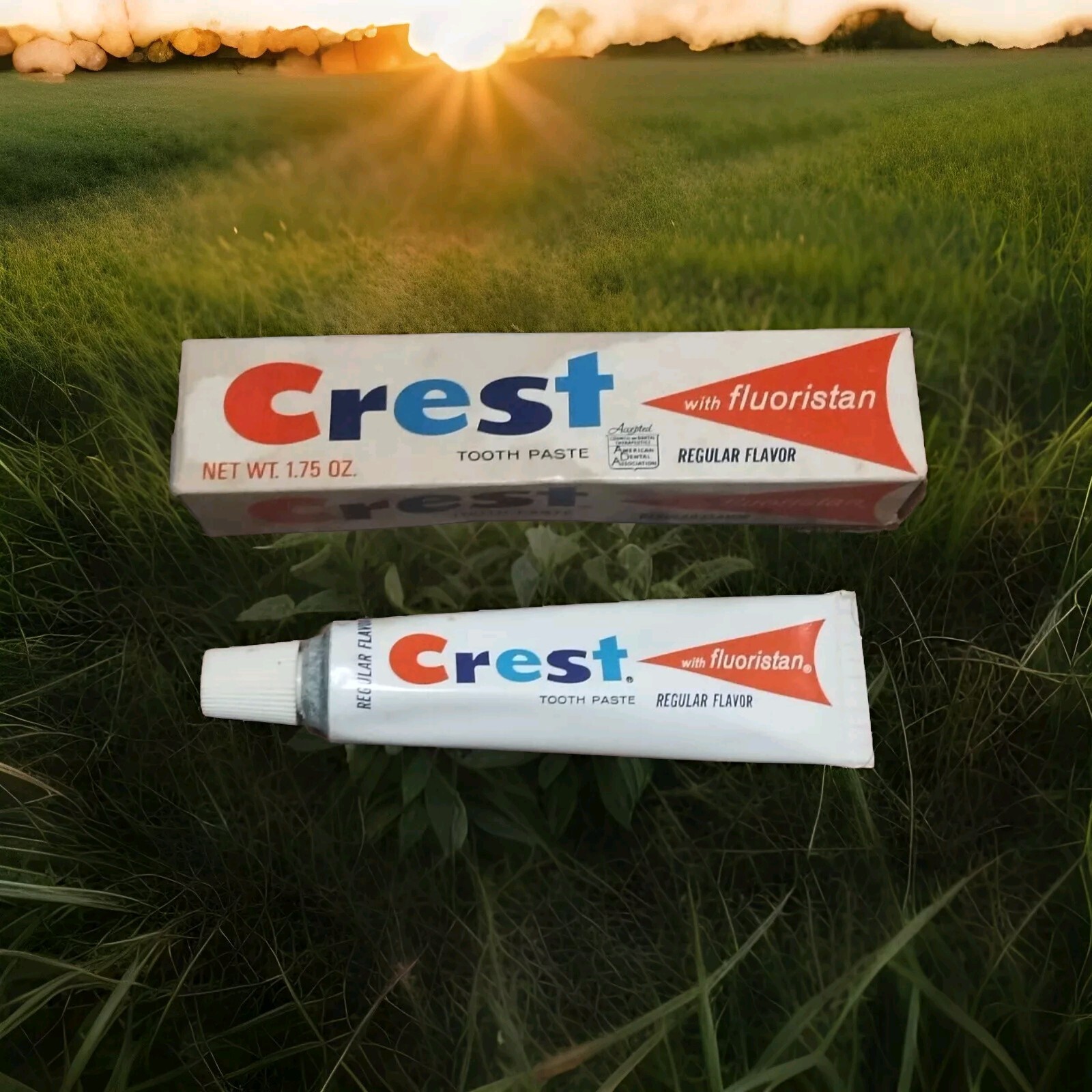 1960s Crest Toothpaste ~ In Original Box 1.75 Oz Small