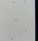 Picture 5 of 5