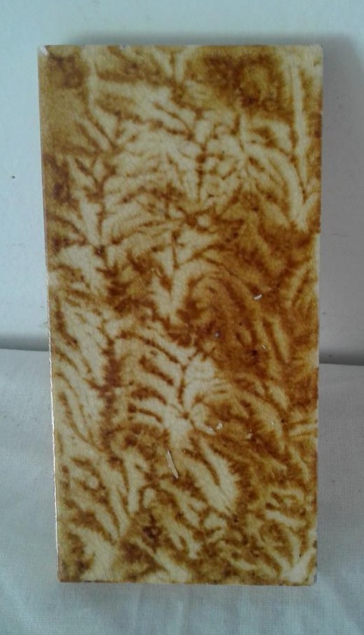 Bild 6 von 7