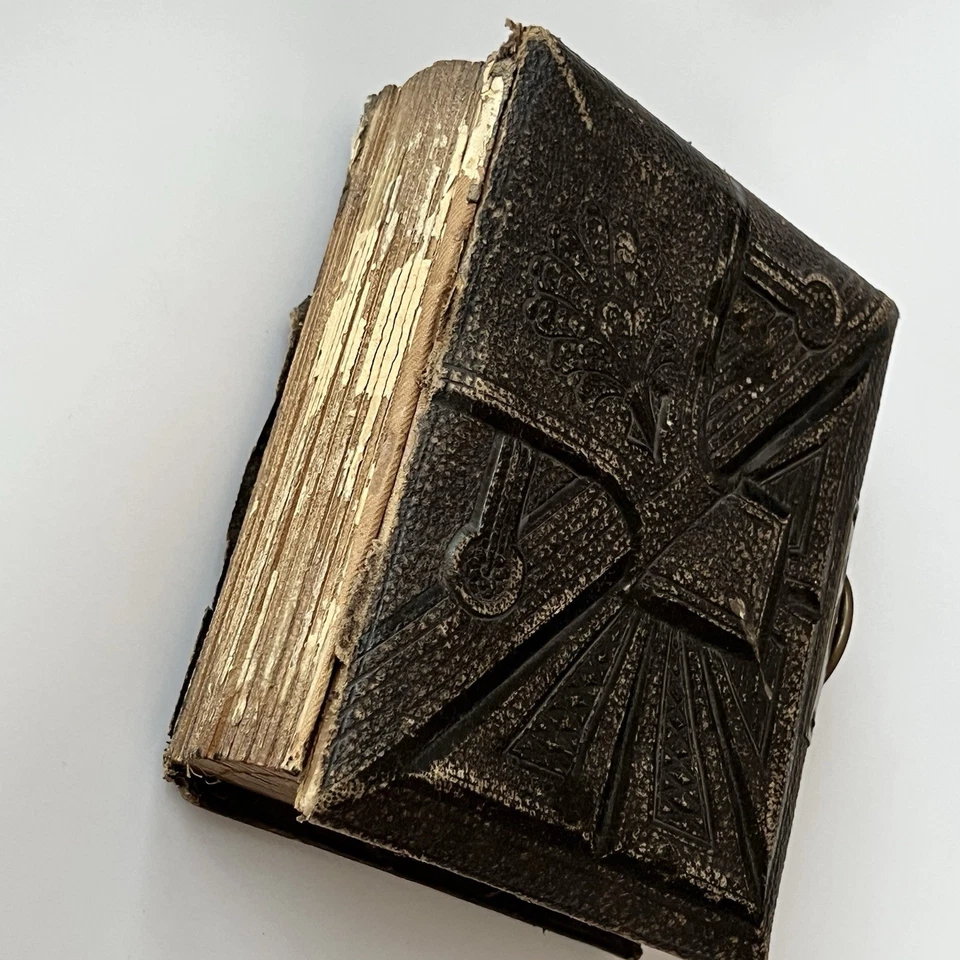 Antiguo álbum de fotos CDV tipo tinte cuero ornamentado en relieve Foto 3 de 4