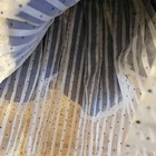 Foto 9 di 9