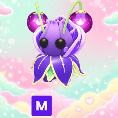 Summer Festival | Mega Violet Friend | Adopt From