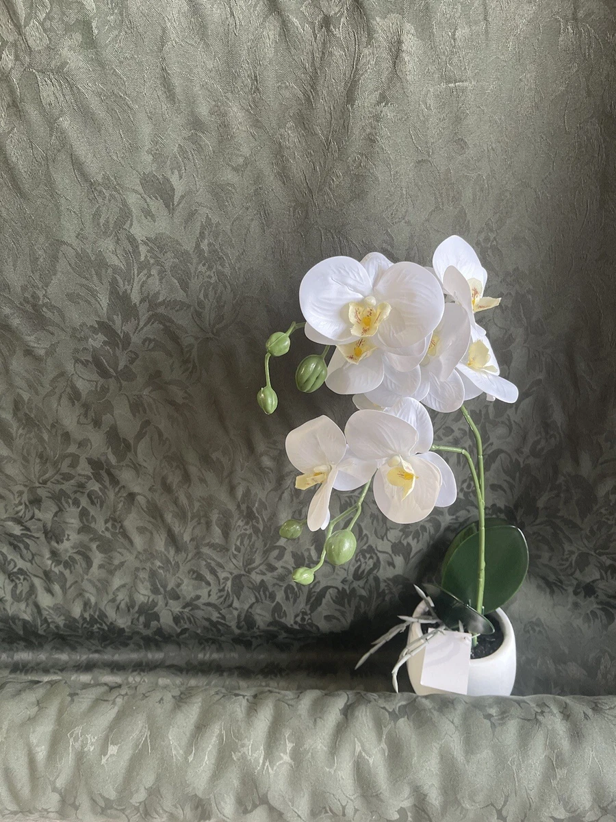 Buy best sale curtain fabric