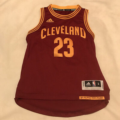 lebron jersey youth