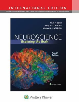 Neuroscience : Exploring the Brain Hardcover