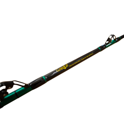 Coastal Fishing Rods