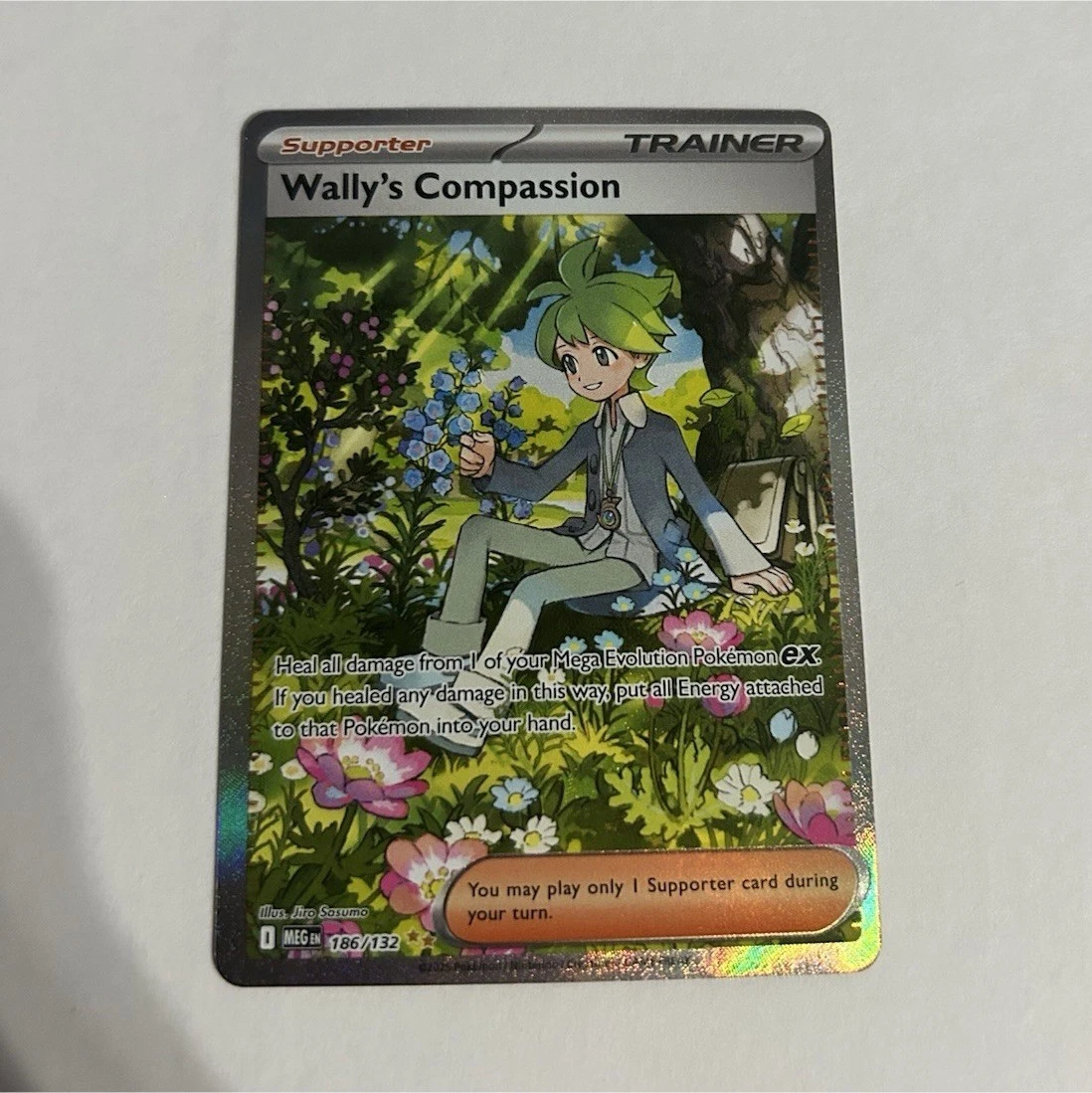 Wally Pokémon TCG Cards for sale