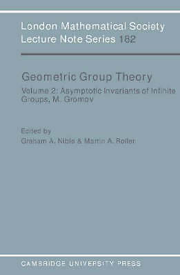 Geometric Group Theory: Volume 2 Niblo Roller Cassels Paperback 9780521446808