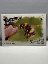 2024 Topps Allen & Ginter #BUZ-3 Bumble Bee Buzzin'