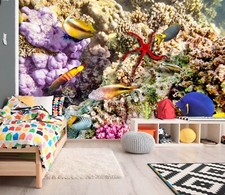 3D Starfish Coral S1215 Wallpaper Mural Self-adhesive Removable Sticker Kids Pa