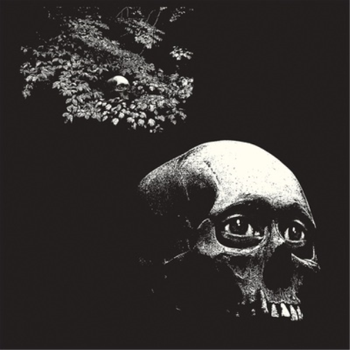Osees A Foul Form (Vinyl LP) 12" Album