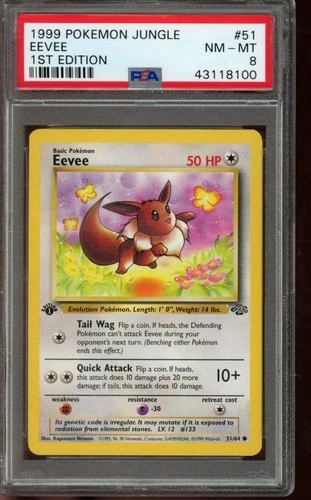 PSA 8 NM-MT Pokemon Eevee Jungle 1st Edition Non Holo 51/64