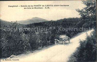 Dauphine Entree de la Foret de Lente au loin le Montuez