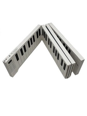 TAHORNG Electronic Piano Used