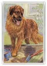 LEONBERGER DOG FRIDGE MAGNET GREAT GIFT