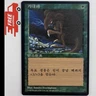 MTG Giant Growth 거대화 Fourth Edition Korean FBB Magic The Gathering TCG Card