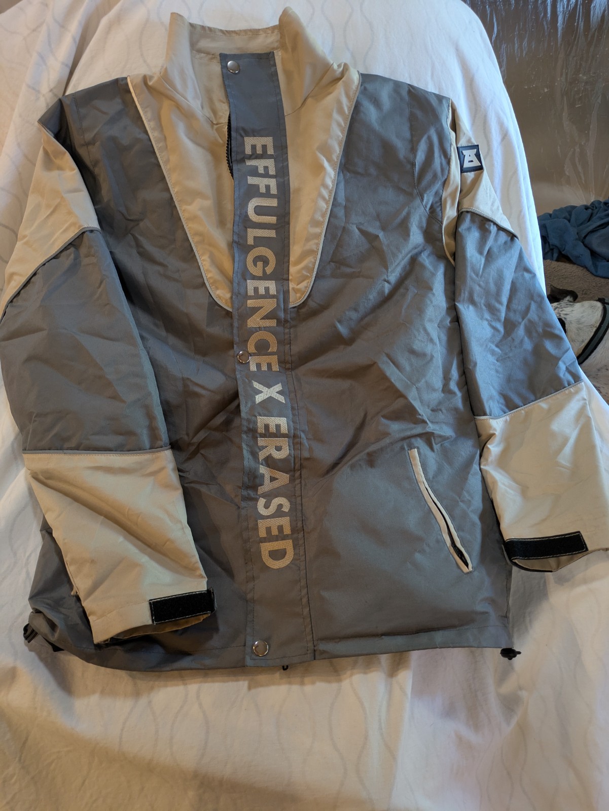 A Collaboration Between Effulgence and Erased Jac… - image 2