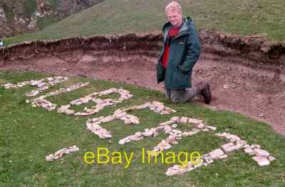 Foto 6x4 Look this way for 'Albert', Hermaness Burrafirth 'Albert&# c1994