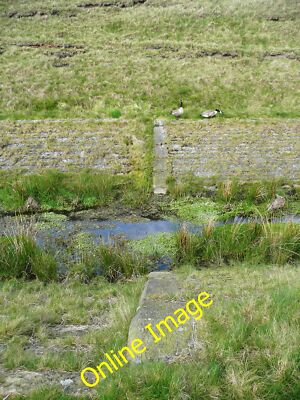 Foto 6x4 Steinrippe über den Auffangwasserabfluss Hechtende auch zwei Kanada c2014