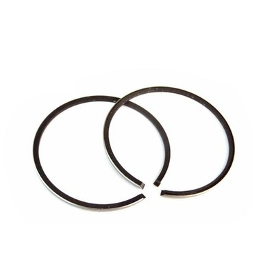 060004 SERIE / SEGMENTSATZ D.40X1,2 APRILIA AMICO LX 50 1992-1998