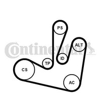 Continental Ctam 6PK1750K2 V-Ribbed Belt Set For Renault