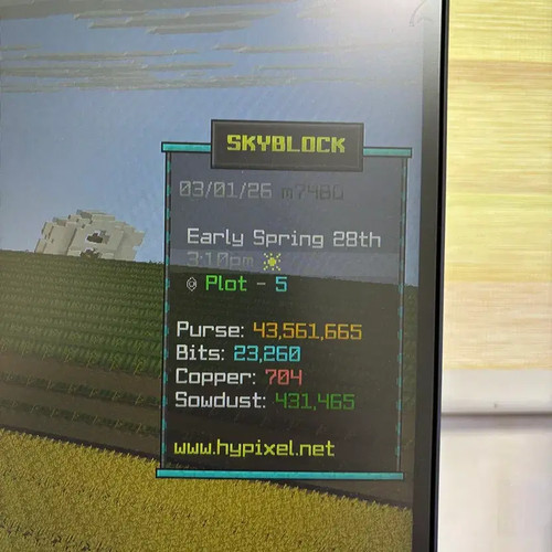 High Pixel Skyblock Coins Bulk Purchase 1-1.2B