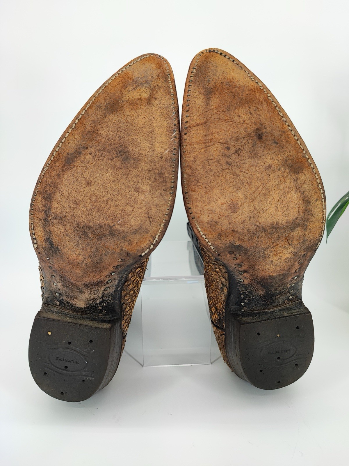 Panhandle Men's Genuine Python Snakeskin Black Co… - image 7