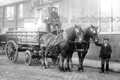Qml-79 T&W Farmiloe Paint & Varnish, Delivery Horse & Cart, London. Photo