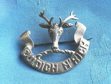 The Seaforth Highlanders  ( Silvered/plated ) cap badge.