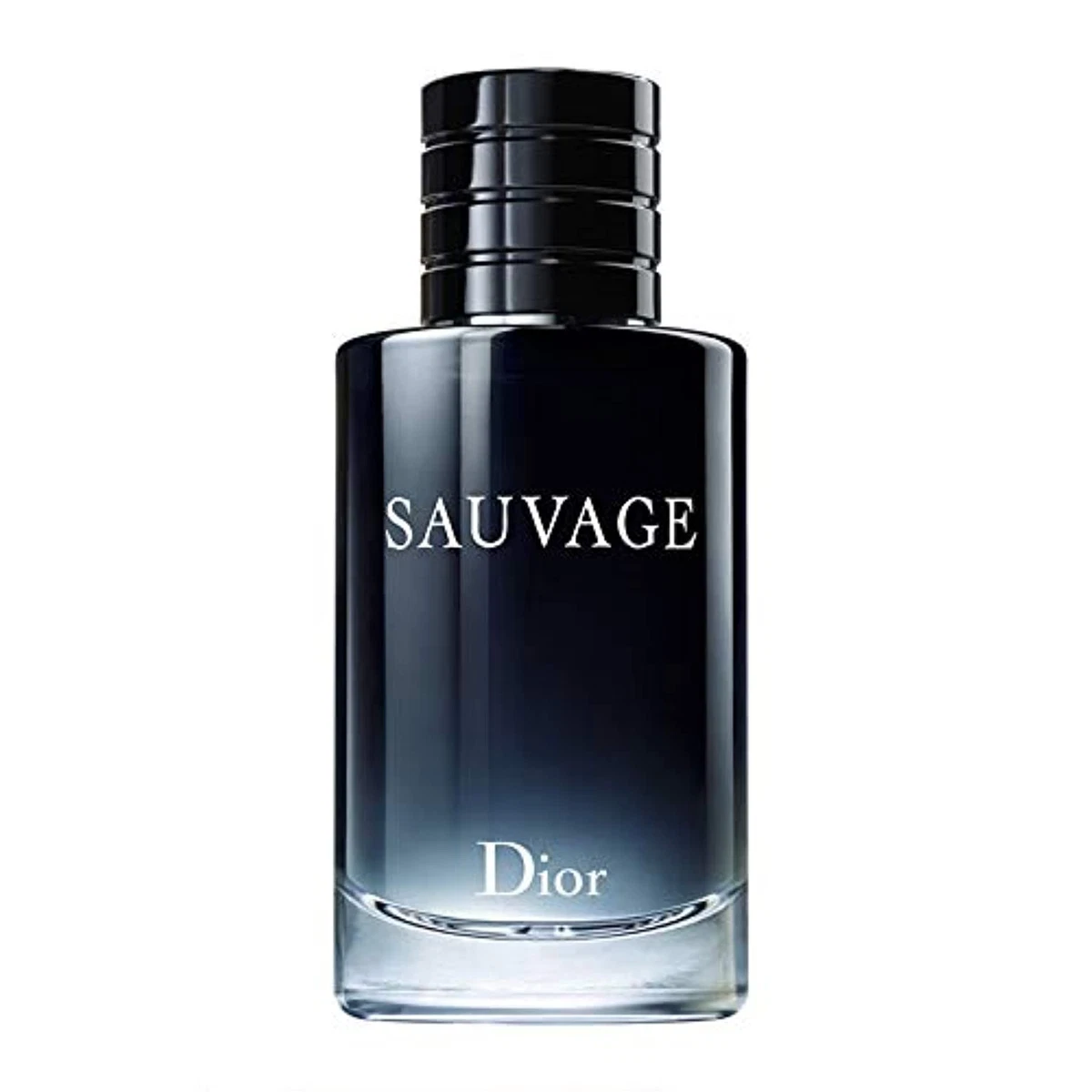 Sauvage 2025 fragrance notes