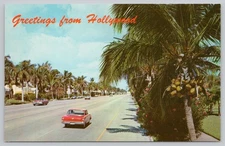 Postcard Greetings from Hollywood Florida Street View with Cars