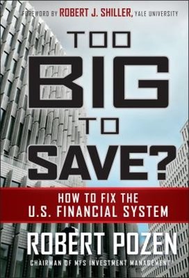 Too Big to Save? How to Fix the U. S. Financial System Hardcover