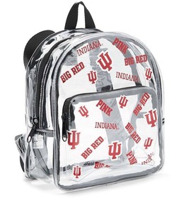 victoria secret clear backpack