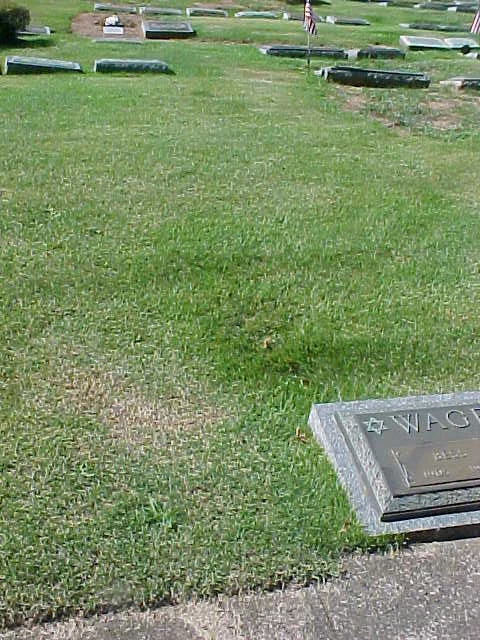 Dos (2) parcelas de entierro ~ Clifton, Nueva Jersey ~ Cementerio judío West Ridgelawn ~ Rey Salomón Foto 2 de 3