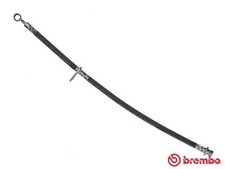 Flexible de frein Honda ACCORD