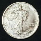 1989 American Silver Eagle 1 Oz .999 Fine Coin, No Reserve #120