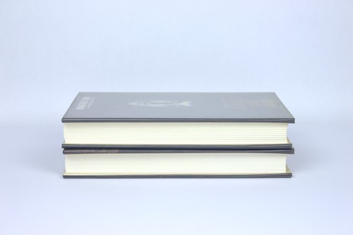 John Lennon Biography 1 & 2 By Ray Coleman (True 1st Ed. UK 1984) - Picture 4 of 23
