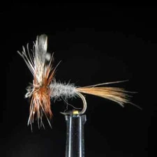 24 Pack Dry Fly Assortment Tied on Competition Barbless Hooks sz16 flies