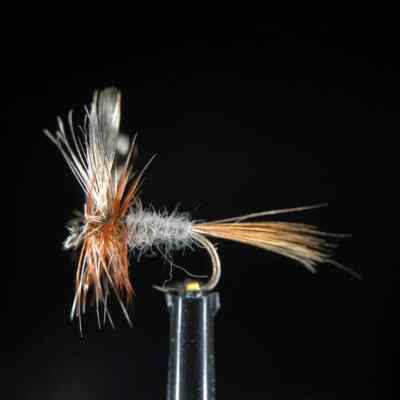 black fly reel Ross Reels Animas Disc Drag – JP Ross Fly Rods & Co. Outdoors Size:80#/500yds SHIFT into high gear. Brands_Hopper 3D Printed Fishing Lures: