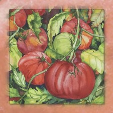 Ceramic Backsplash Tile Mural Fruit Vegetable Food Kitchen/Bathroom - Tomatoes 2