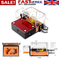 Ant Farm Formicarium Outworld Ant Housing Ant Nest for LIVE Ants Child's Gift UK