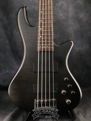 SCHECTER STILETTO STUDIO-5