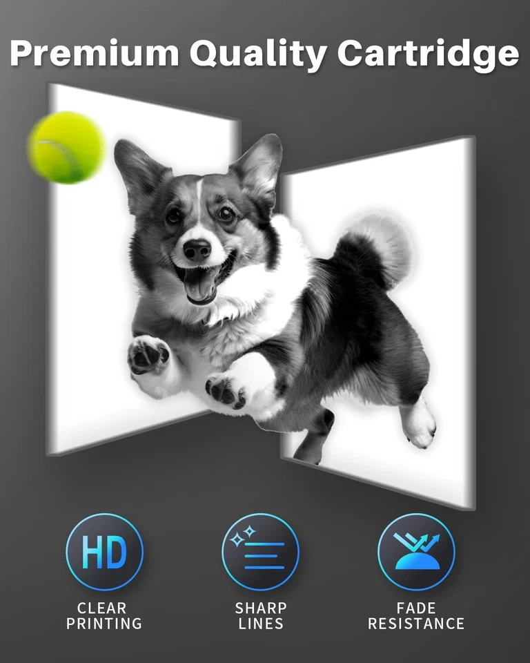 TN2320 Cartucce Di Toner Compatibili per Brother TN 2320 TN2310 per MFC-L2700DW  - Immagine 4 di 4