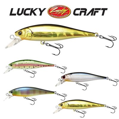 LUCKY CRAFT Pointer 65 | 6,5cm - 5g | Suspending 1m Japan Wobbler Barsch Forelle