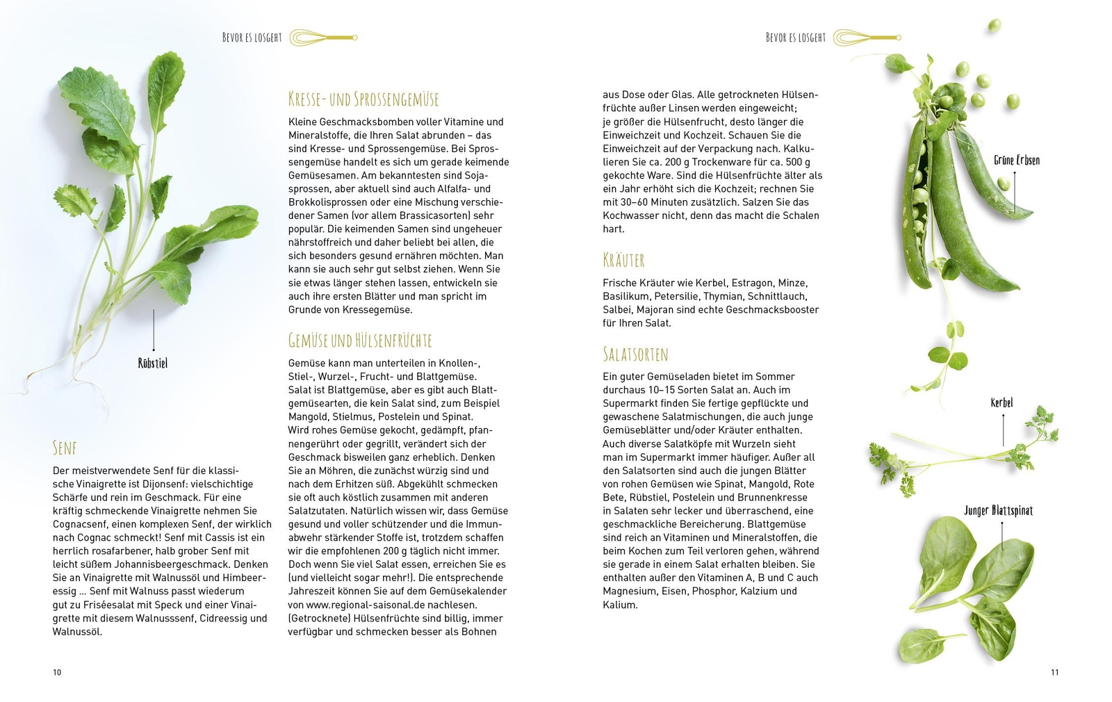 Thumbnail - Fantastische Salate,